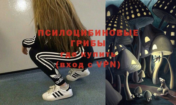 дмт Балахна