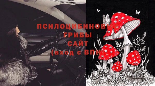дмт Балахна