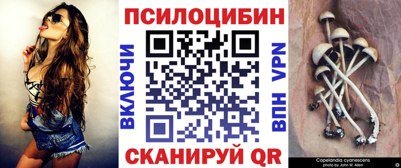 Псилоцибиновые грибы MAGIC MUSHROOMS  blacksprut онион  Туран 