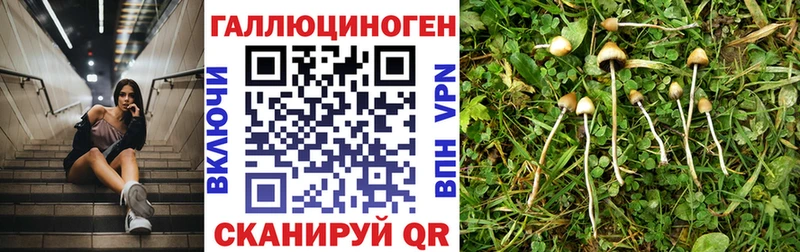 Галлюциногенные грибы мицелий Туран